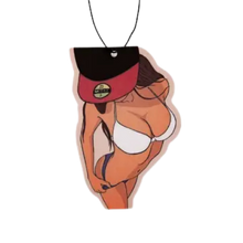 Load image into Gallery viewer, Air Fresheners