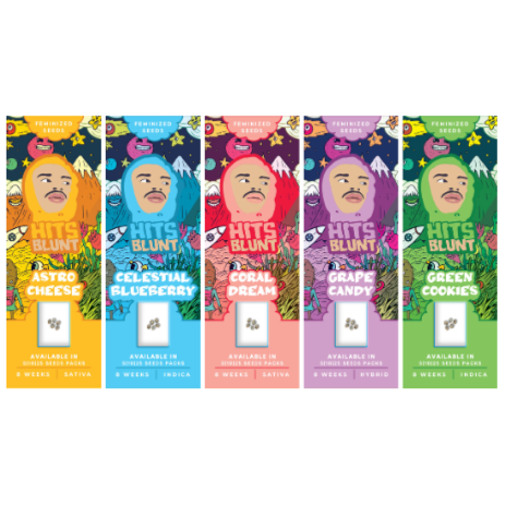 Hits Blunt Feminized Seeds (5-Pack)