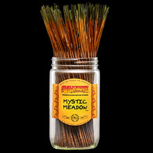 Load image into Gallery viewer, Wild Berry Incense Sticks - Mystic Meadow
