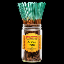 Load image into Gallery viewer, Wild Berry Incense Sticks - Ocean Wind
