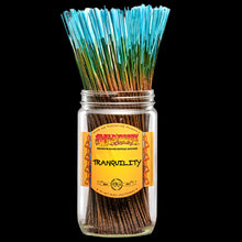 Load image into Gallery viewer, Wild Berry Incense Sticks - Tranquility
